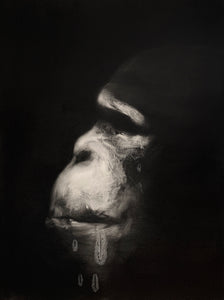 Chimpanzee Profile 2