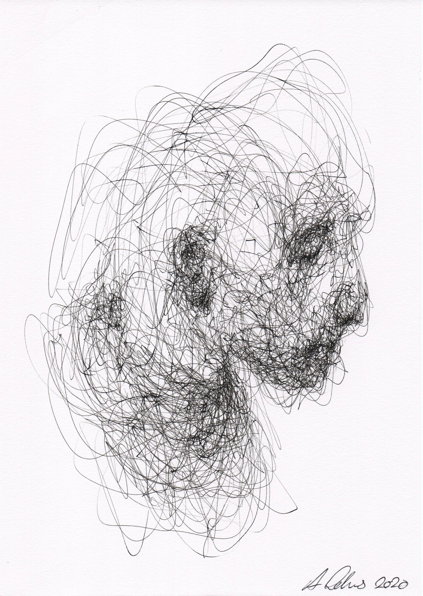 Untitled Pen Drawing